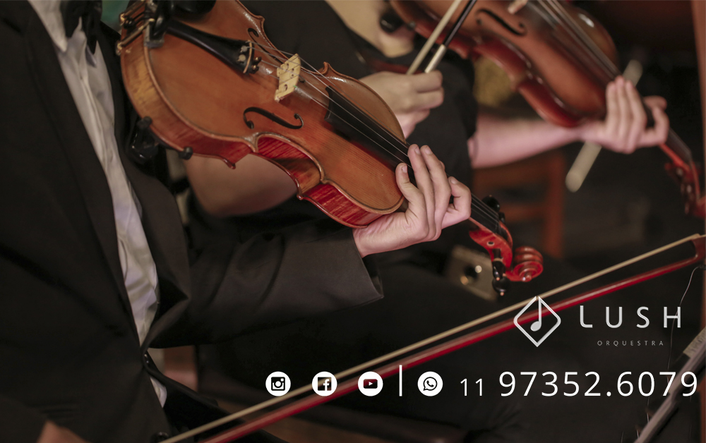 Violino ou Violoncelo para o seu casamento? Aprenda mais sobre esses lindos instrumentos de corda.